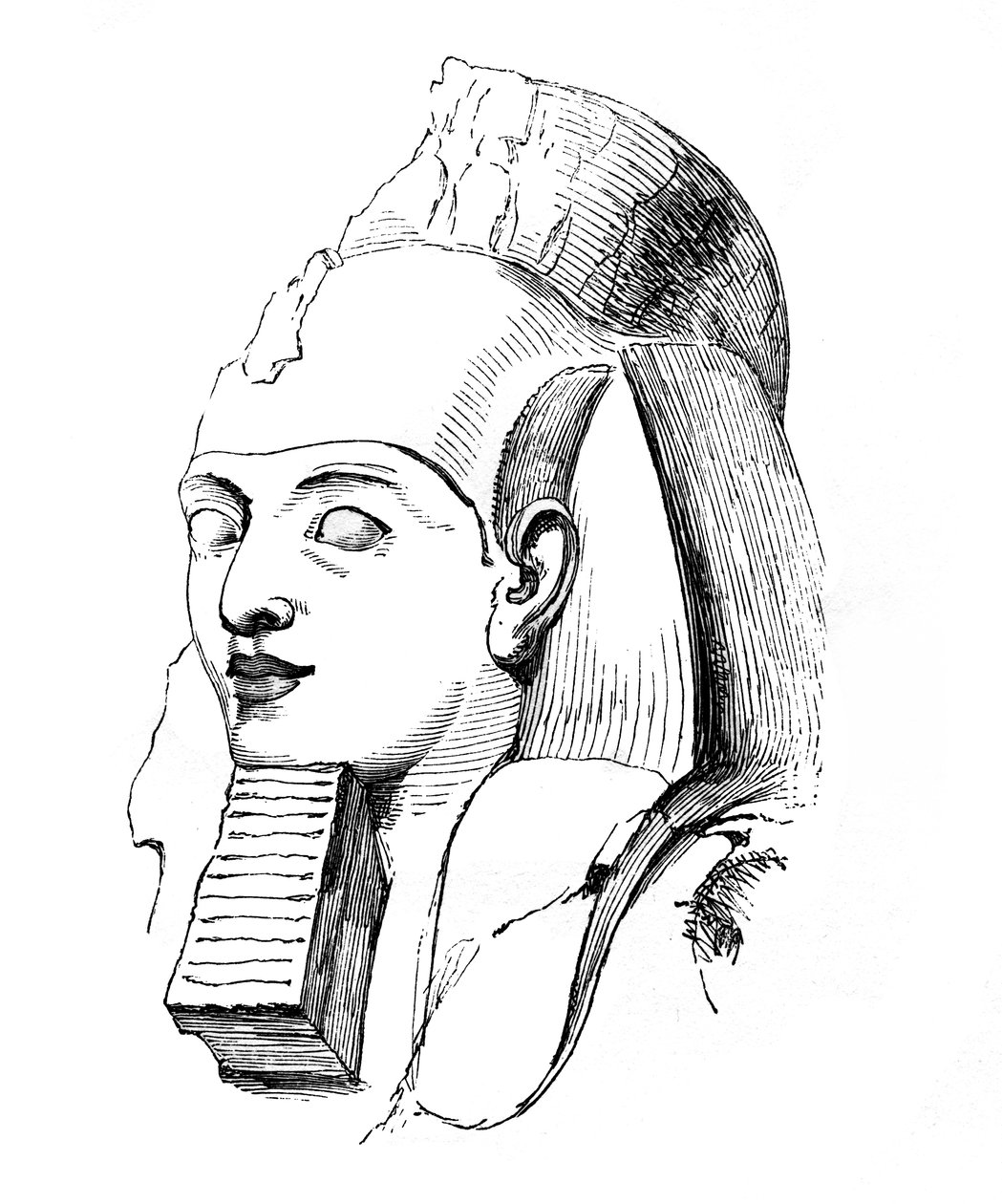 Cabeza de Ramsés, 1848 de Unbekannt
