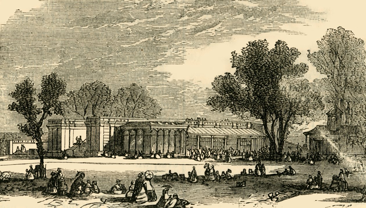 Casas de los Carnívoros, c1876 de Unbekannt