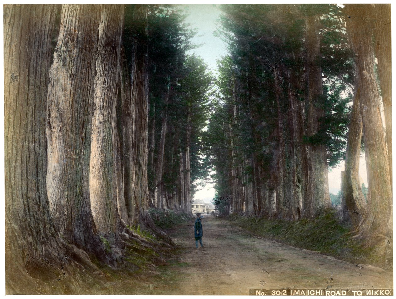 Camino Imaichi en Nikko, Japón, principios del siglo XX de Unbekannt