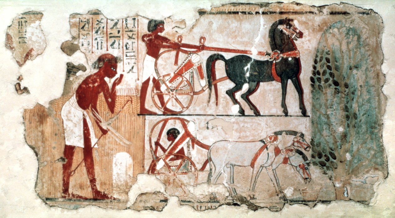 Inspeccionando los campos, 1350 a.C. de Unbekannt
