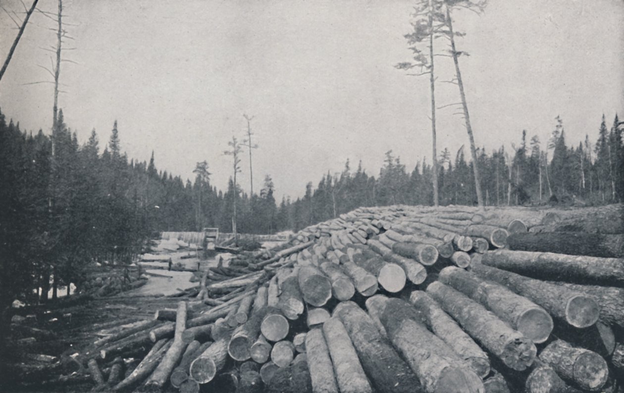 Explotación forestal, 1924 de Unbekannt