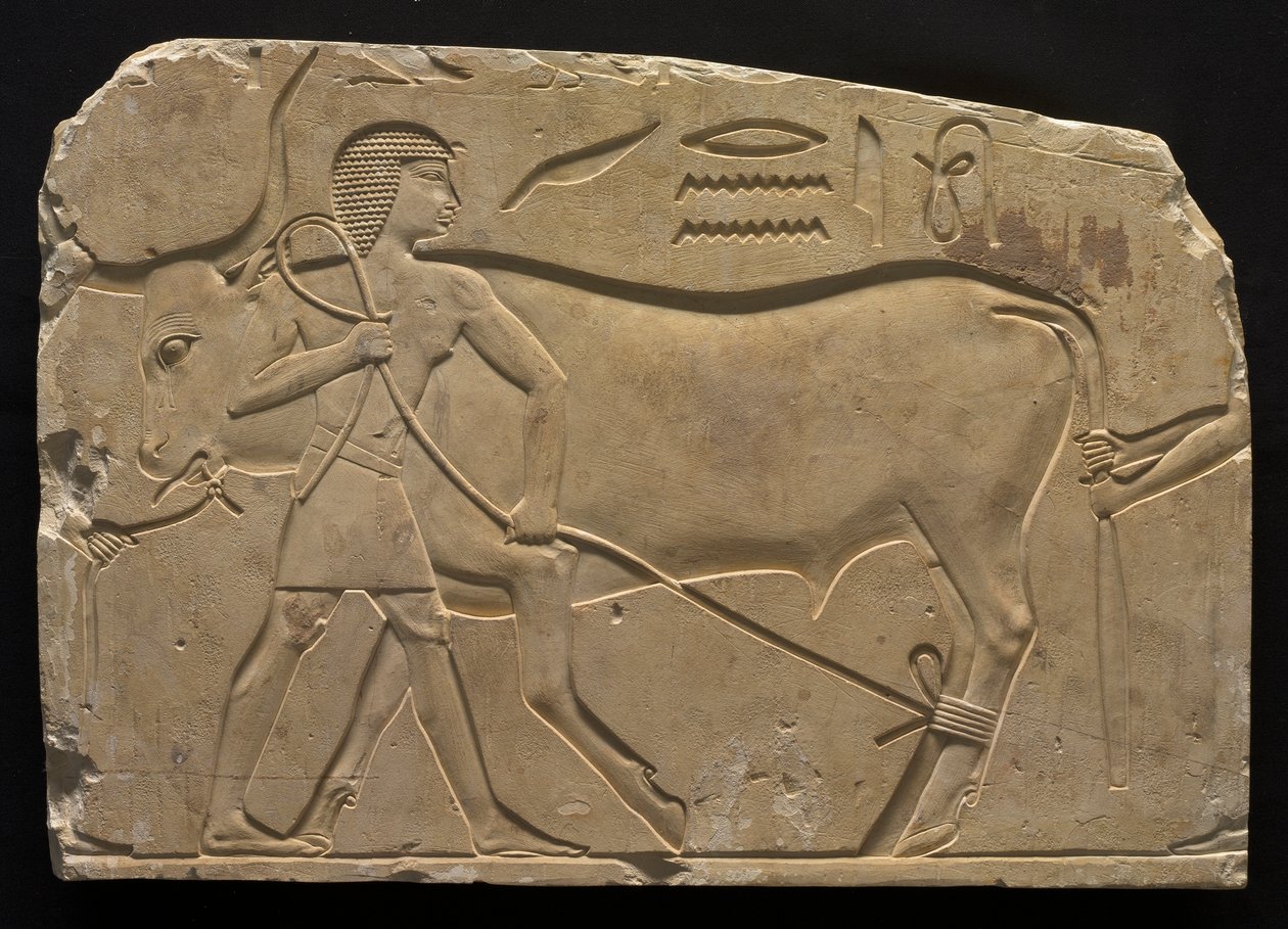 Hombres atando un buey, 667-647 a.C. de Unbekannt