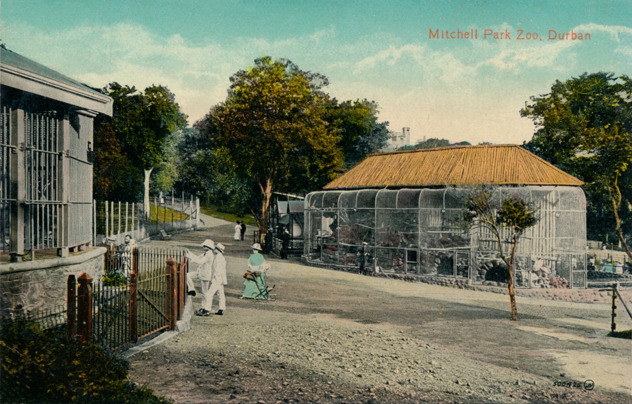 Zoo del Parque Mitchell, Durban, c1915 de Unbekannt