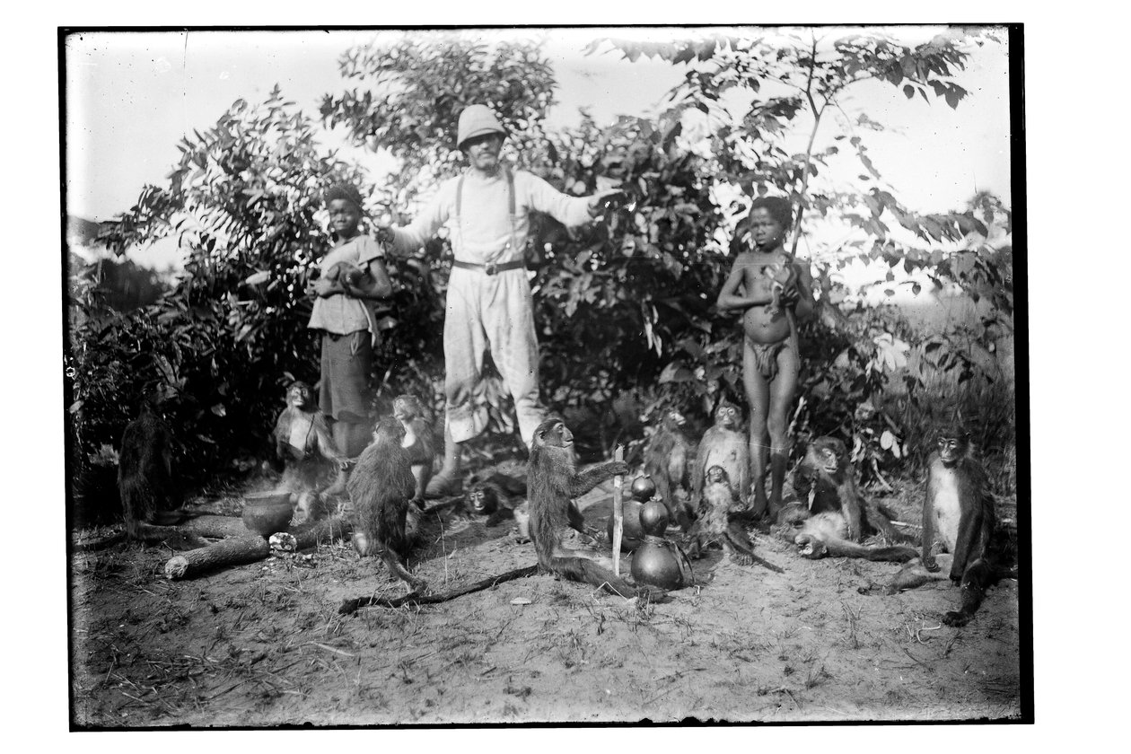 Monos, c.1910 de Unbekannt