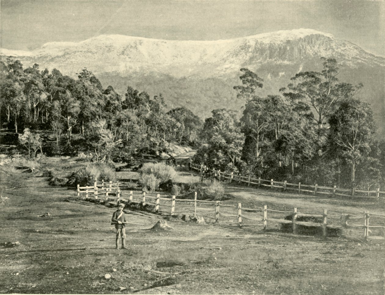 Monte Wellington, desde el Camino Huon, 1901 de Unbekannt