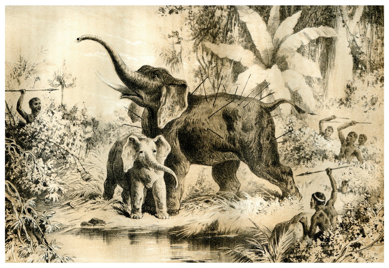 Nativos lanzando lanzas a un elefante, 1883 de Unbekannt