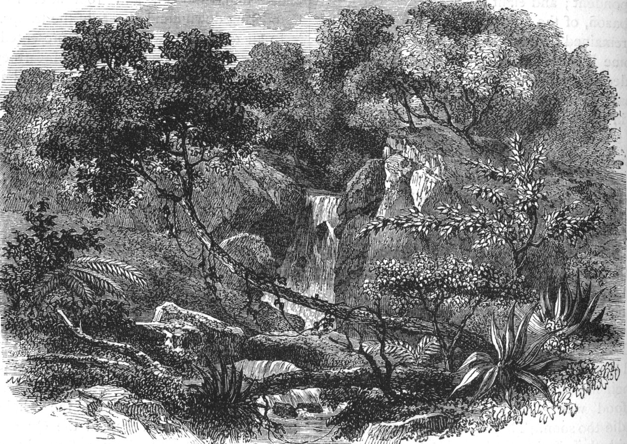 Paisaje de Nueva Zelanda, c1880 de Unbekannt