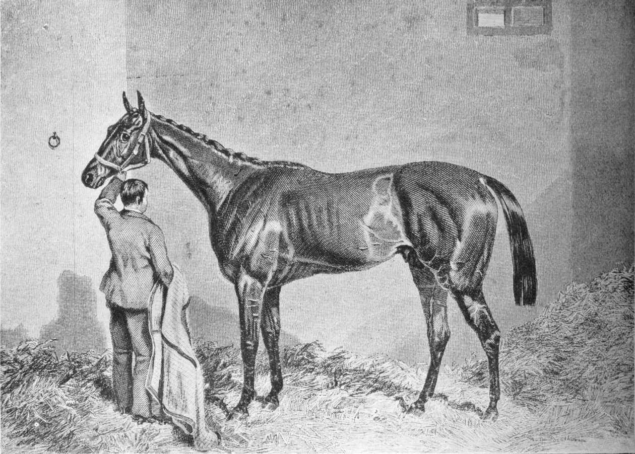 Newminster, 1848-1868, 1911 de Unbekannt