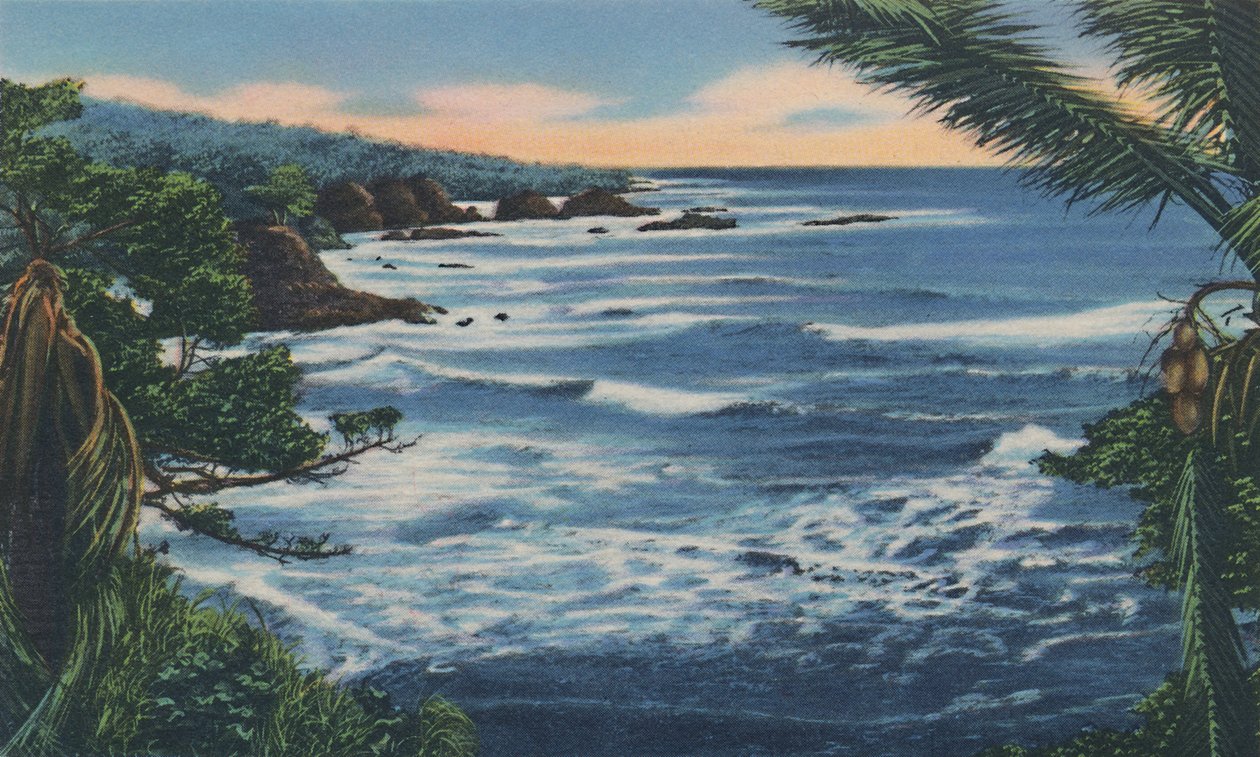 Costa norte, Trinidad, B.W.I., c1940s de Unbekannt