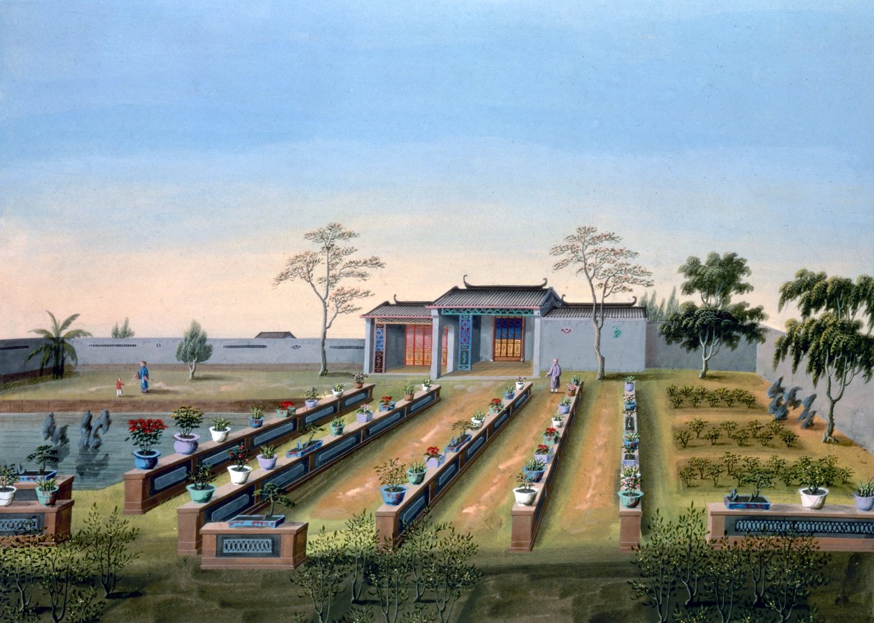 Jardín de infancia, China, c1820-1840 de Unbekannt