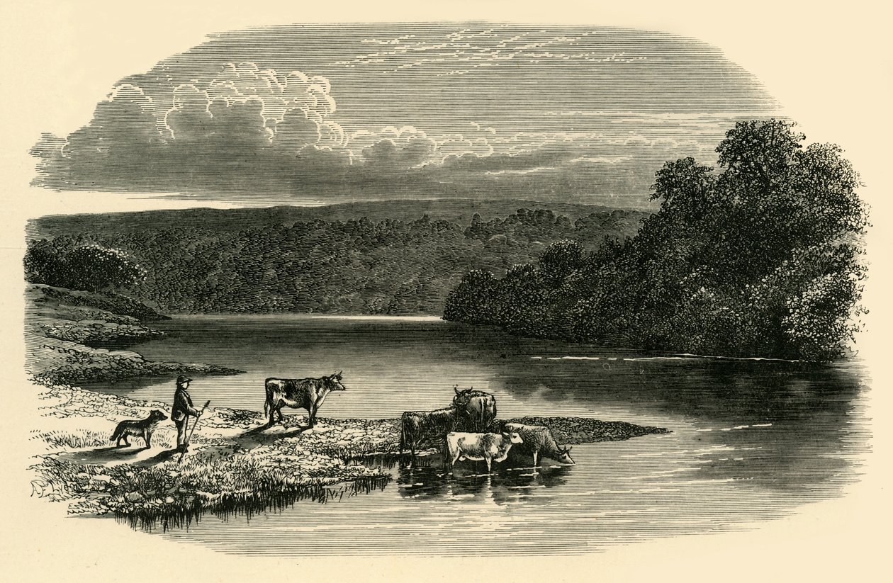 En el Dee, c. 1890 de Unbekannt