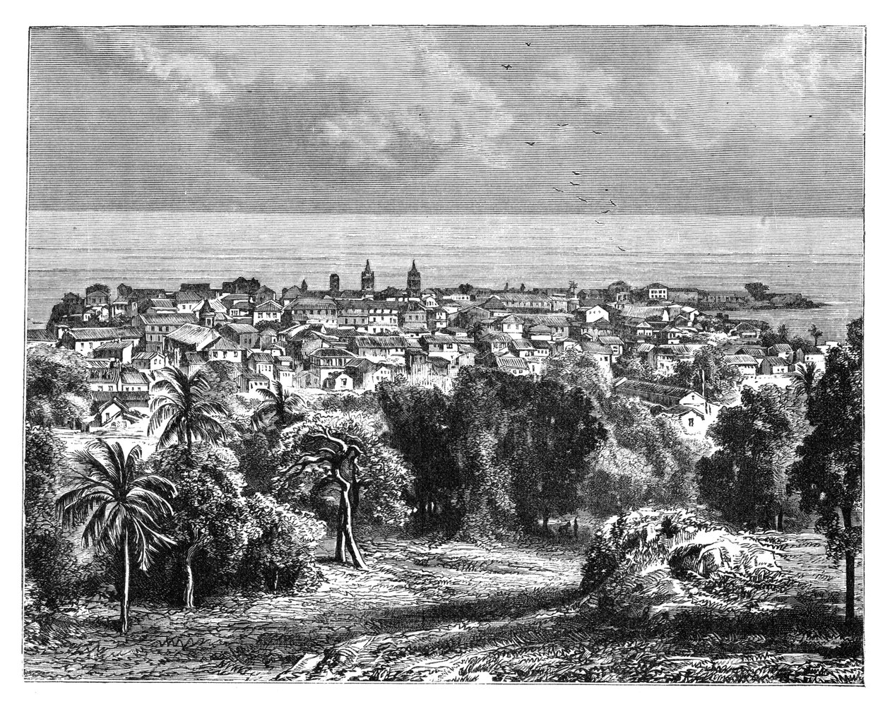 Ciudad de Panamá desde el Monte Ancón, c1890 de Unbekannt