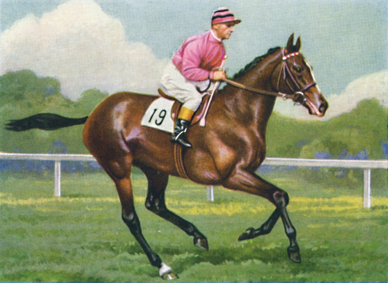 Pasch, Jockey: G. Richards, 1939 de Unbekannt