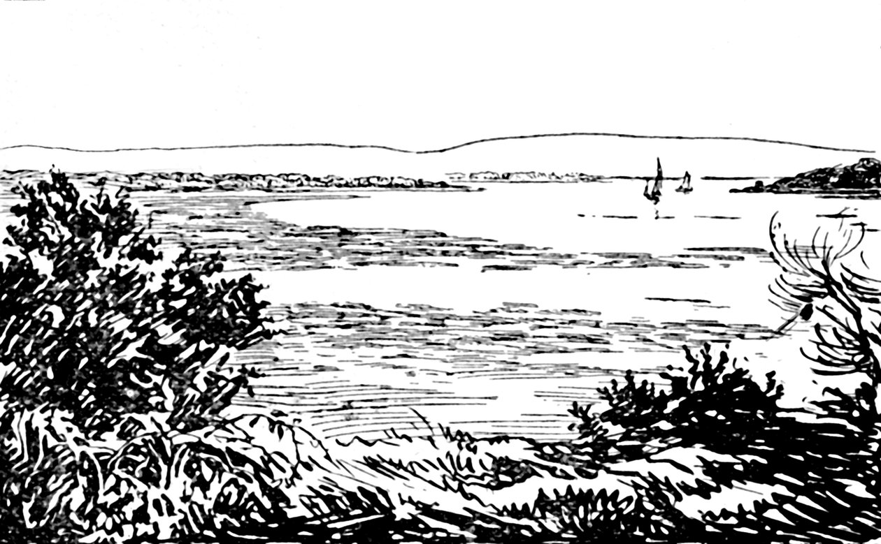 Puerto de Poole, 1929 de Unbekannt