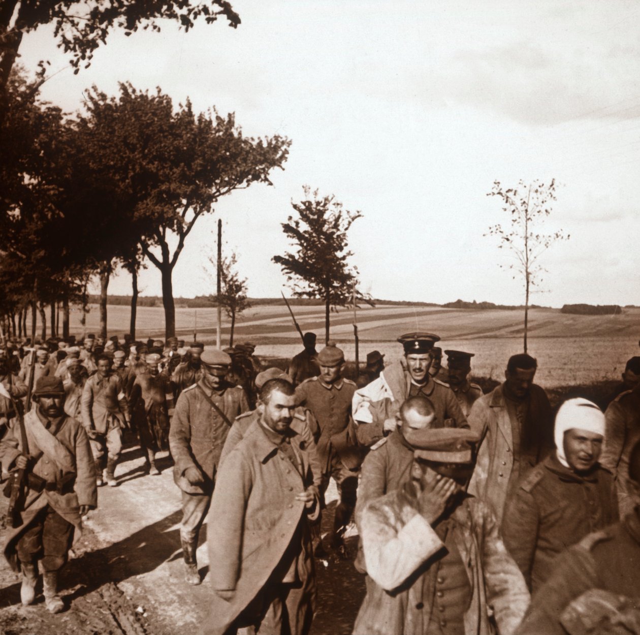Prisioneros, Champagne, norte de Francia, c1914-c1918 de Unbekannt