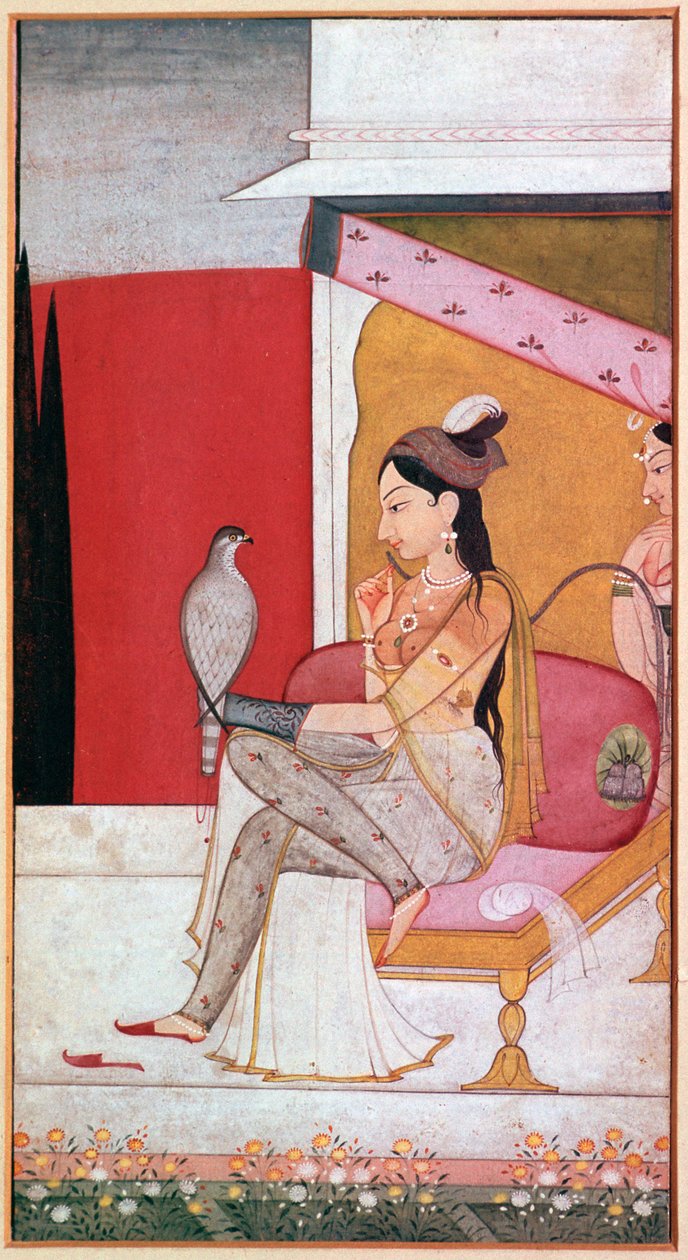Ilustración punjabí de una dama con un halcón de Unbekannt