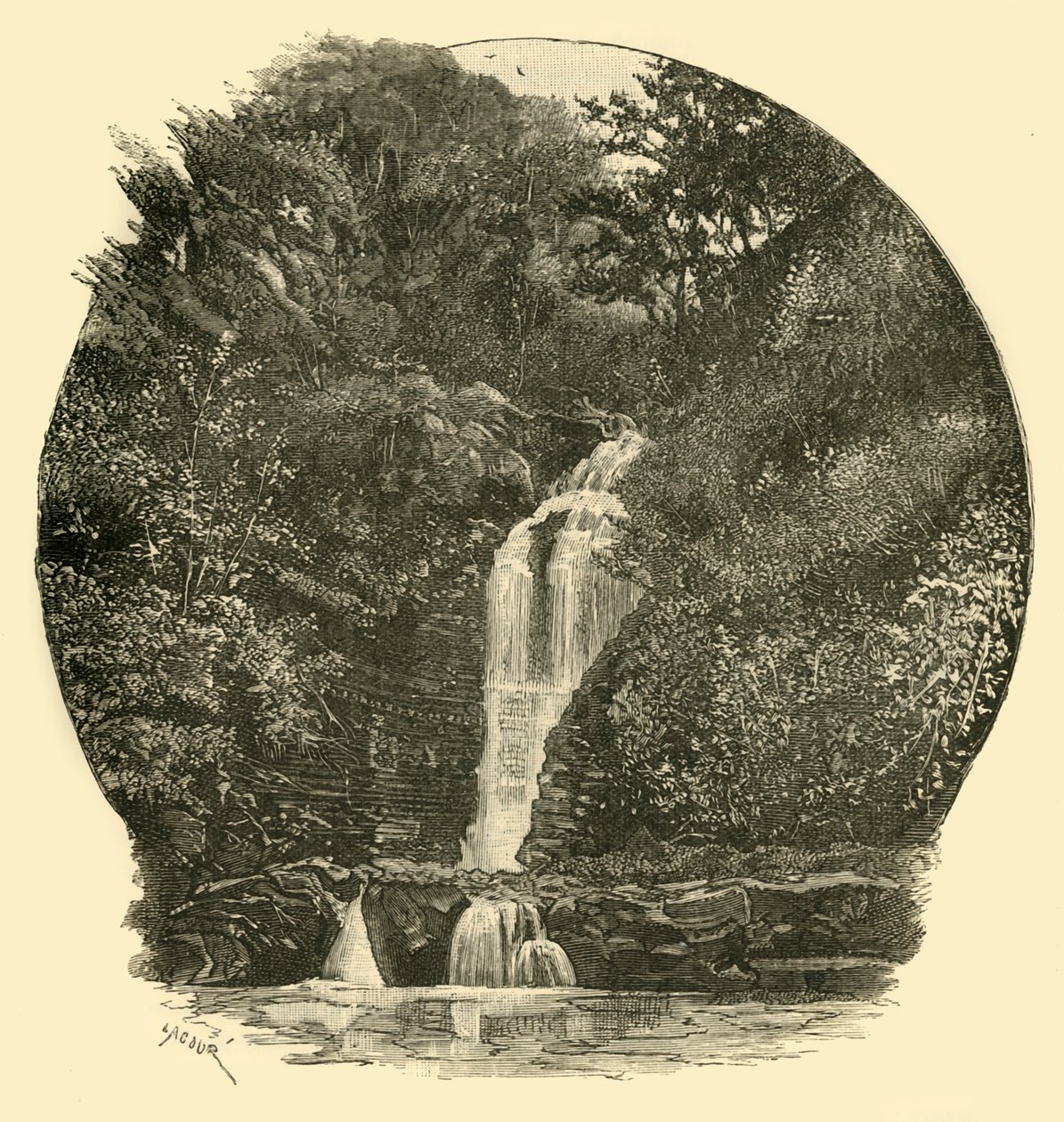 Cascadas Pyrddin, Valle de Neath de Unbekannt