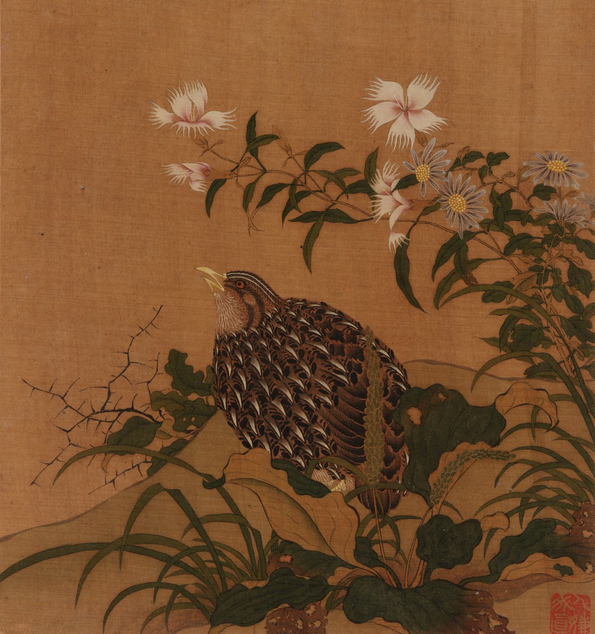 Codorniz y flores, Qing, siglo XVIII de Unbekannt