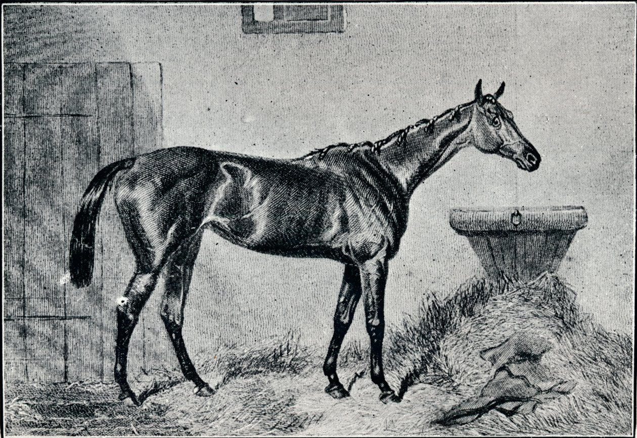 Reina Berta, siglo XIX, 1911 de Unbekannt