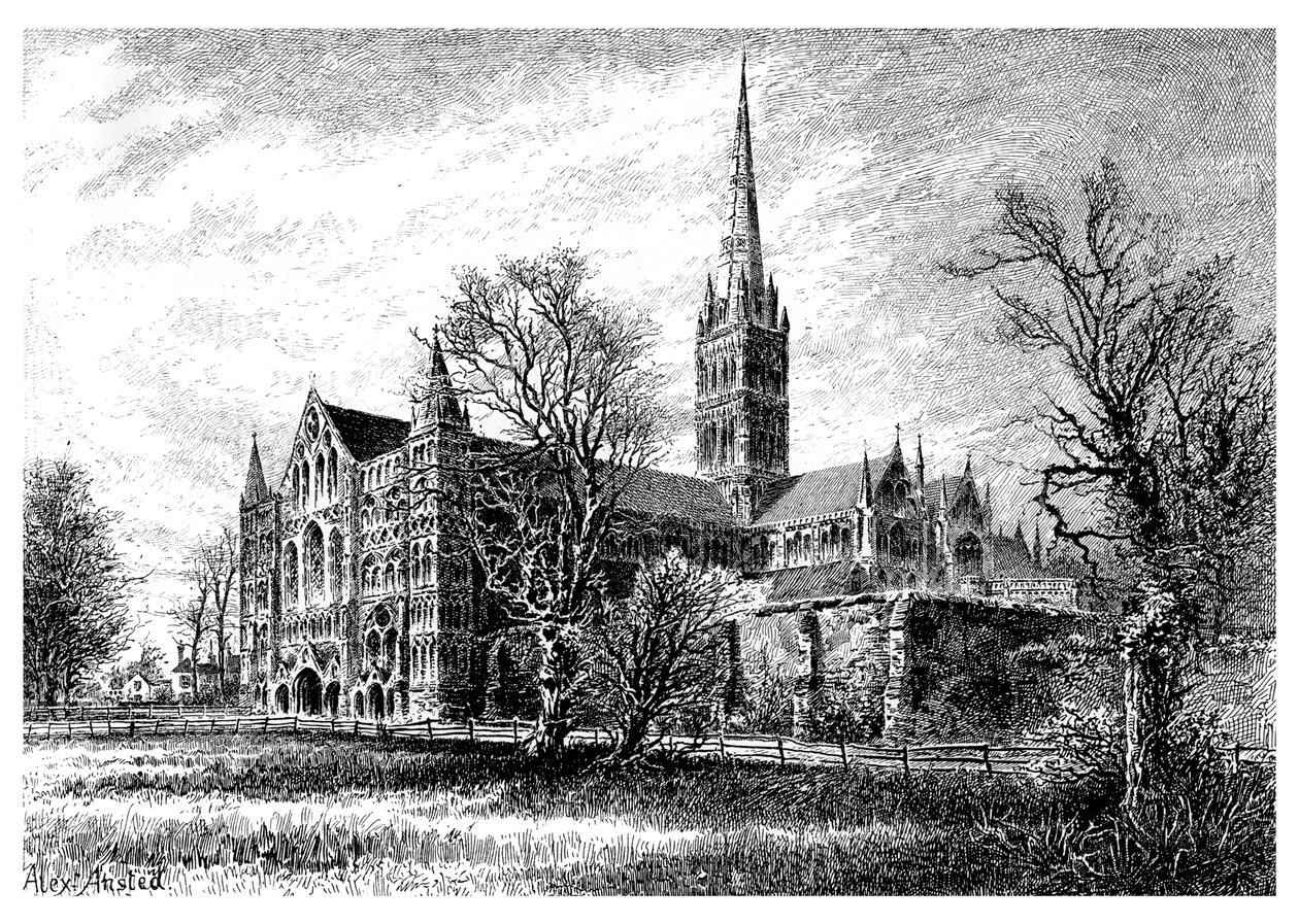 Catedral de Salisbury, desde el suroeste, 1895 de Unbekannt