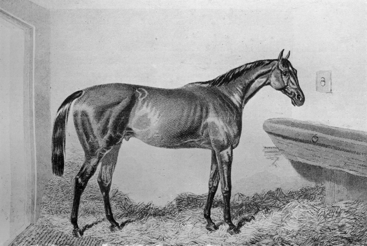 Saucebox, c1840-1880, 1911 de Unbekannt