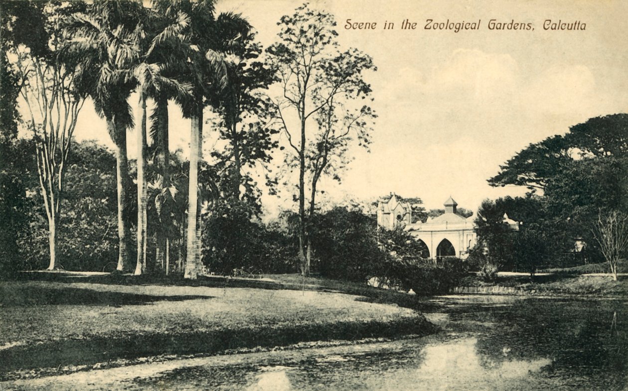 Escena en los Jardines Zoológicos, Calcuta de Unbekannt