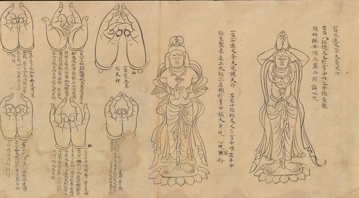 Pergamino de Mudras de Unbekannt