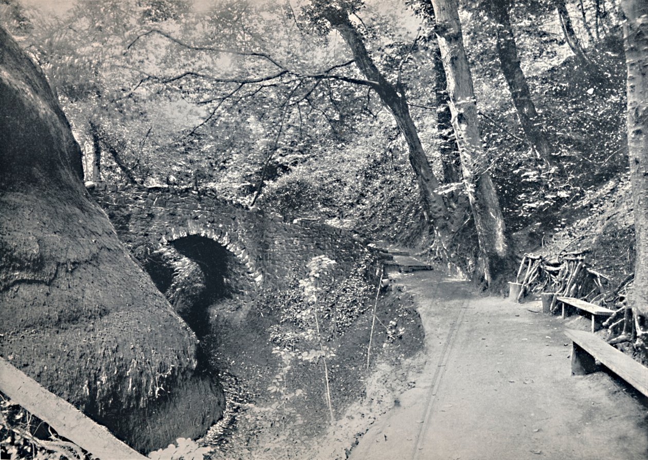 Shanklin - El Barranco, 1895 de Unbekannt