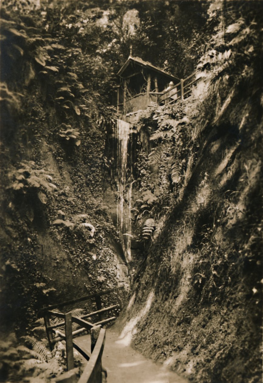 Shanklin Chine, I.W., c1920 de Unbekannt