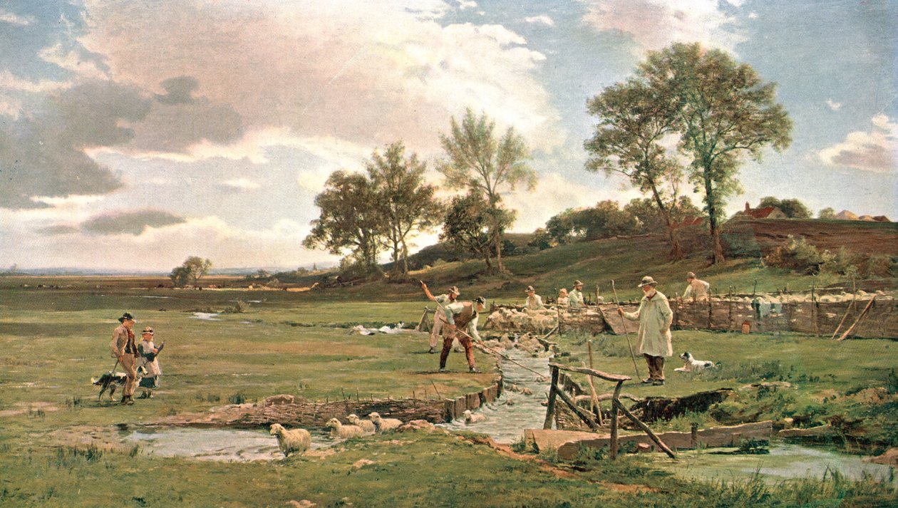 Lavado de ovejas en Sussex, c1889, c1902 de Unbekannt