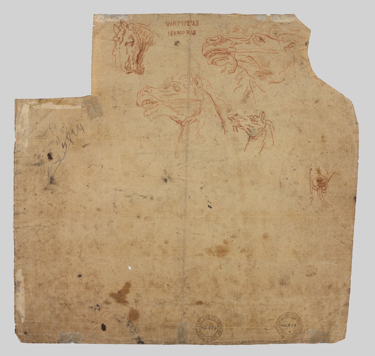 Bocetos de caballos verso, siglo XVII de Unbekannt