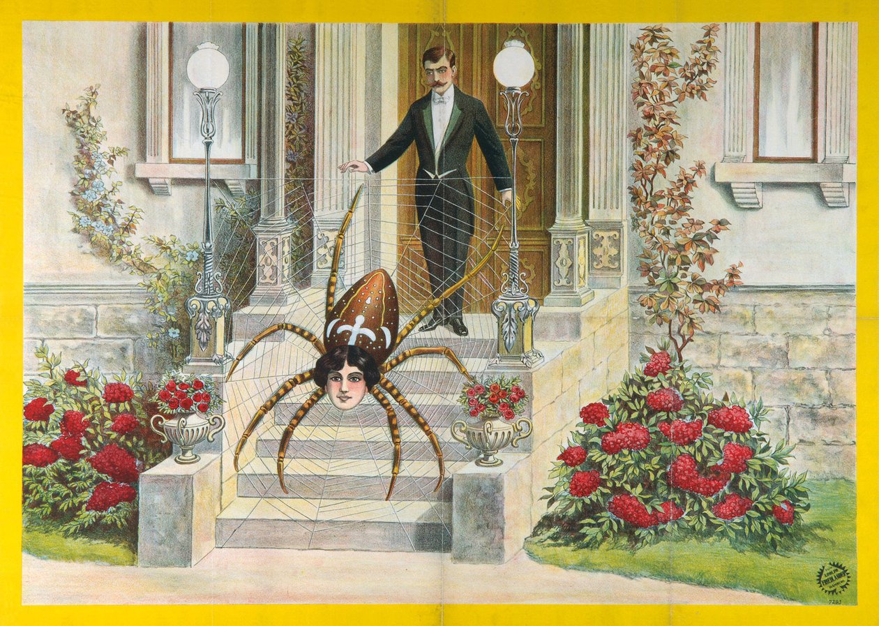 Póster de Mujer Araña de Unbekannt