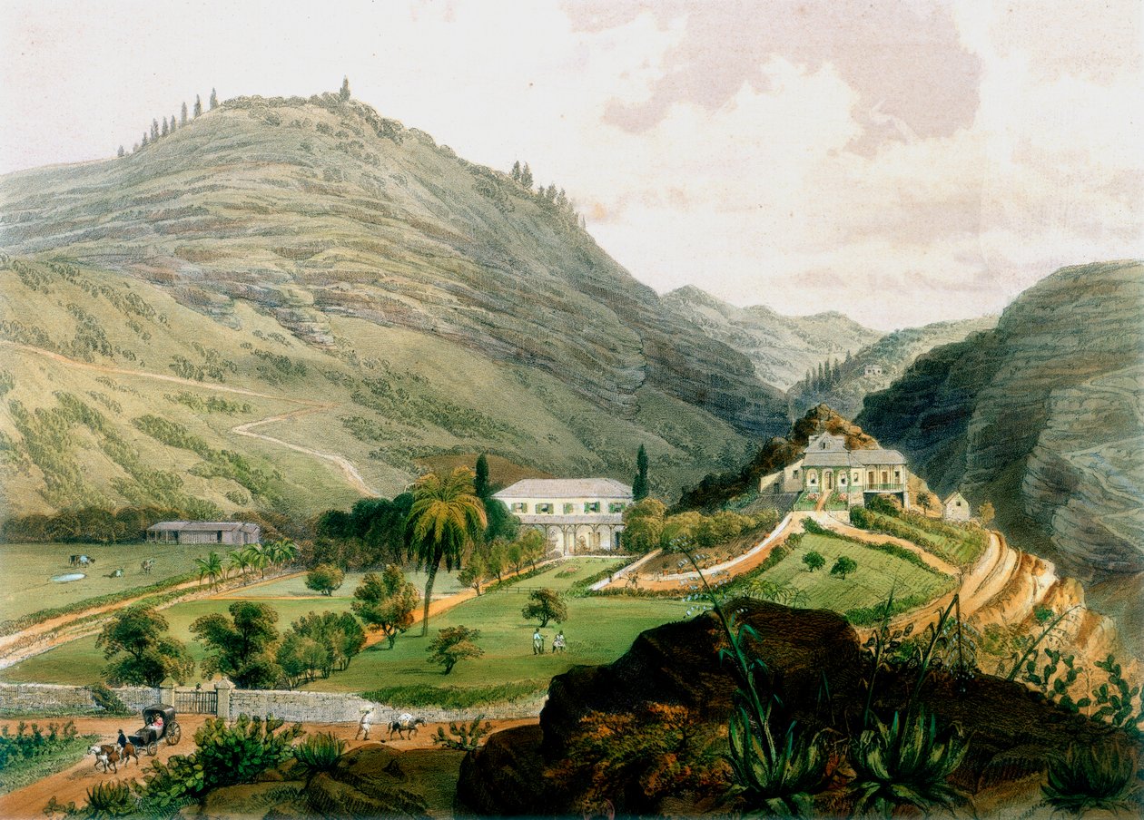 The Briars, St Helena, principios del siglo XIX, 1851 de Unbekannt
