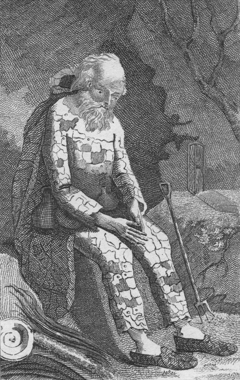 El Ermitaño de Dinton, siglo XIX de Unbekannt