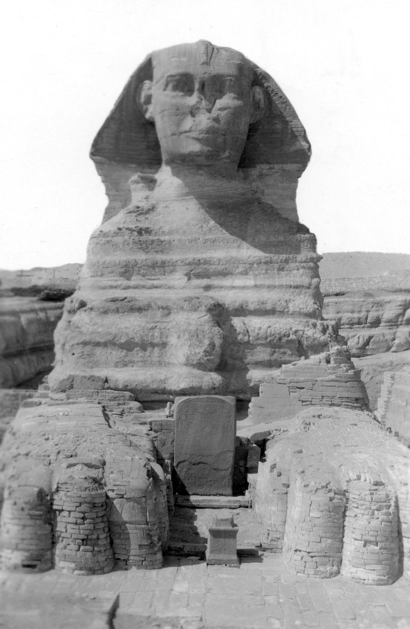La Gran Esfinge de Giza, Egipto, mayo de 1949 de Unbekannt