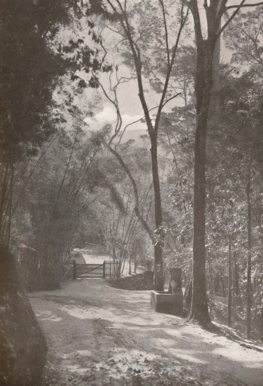 El Espíritu de Tijuca, 1914 de Unbekannt