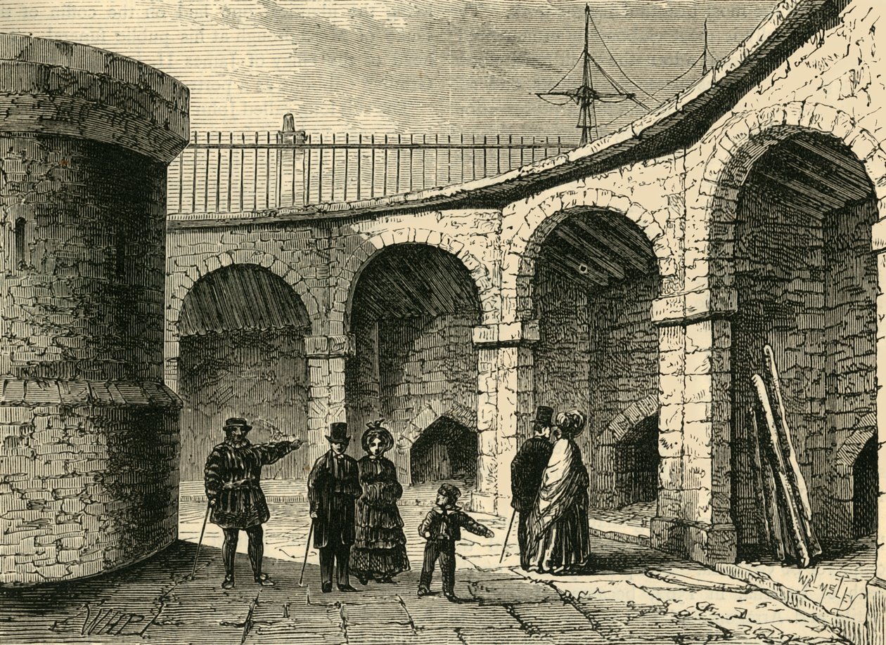 La Menagerie de la Torre de Unbekannt