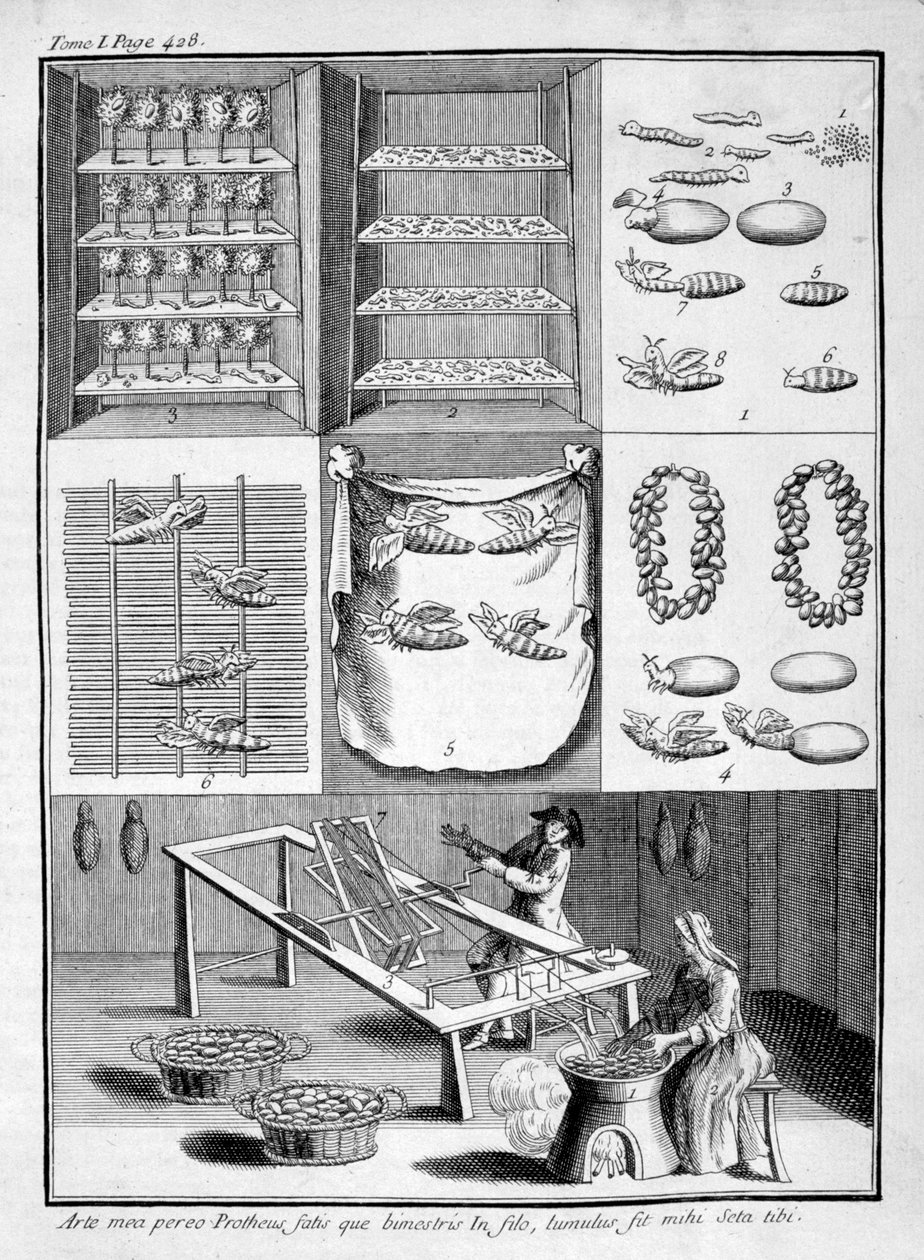 La cría de gusanos de seda, 1775 de Unbekannt