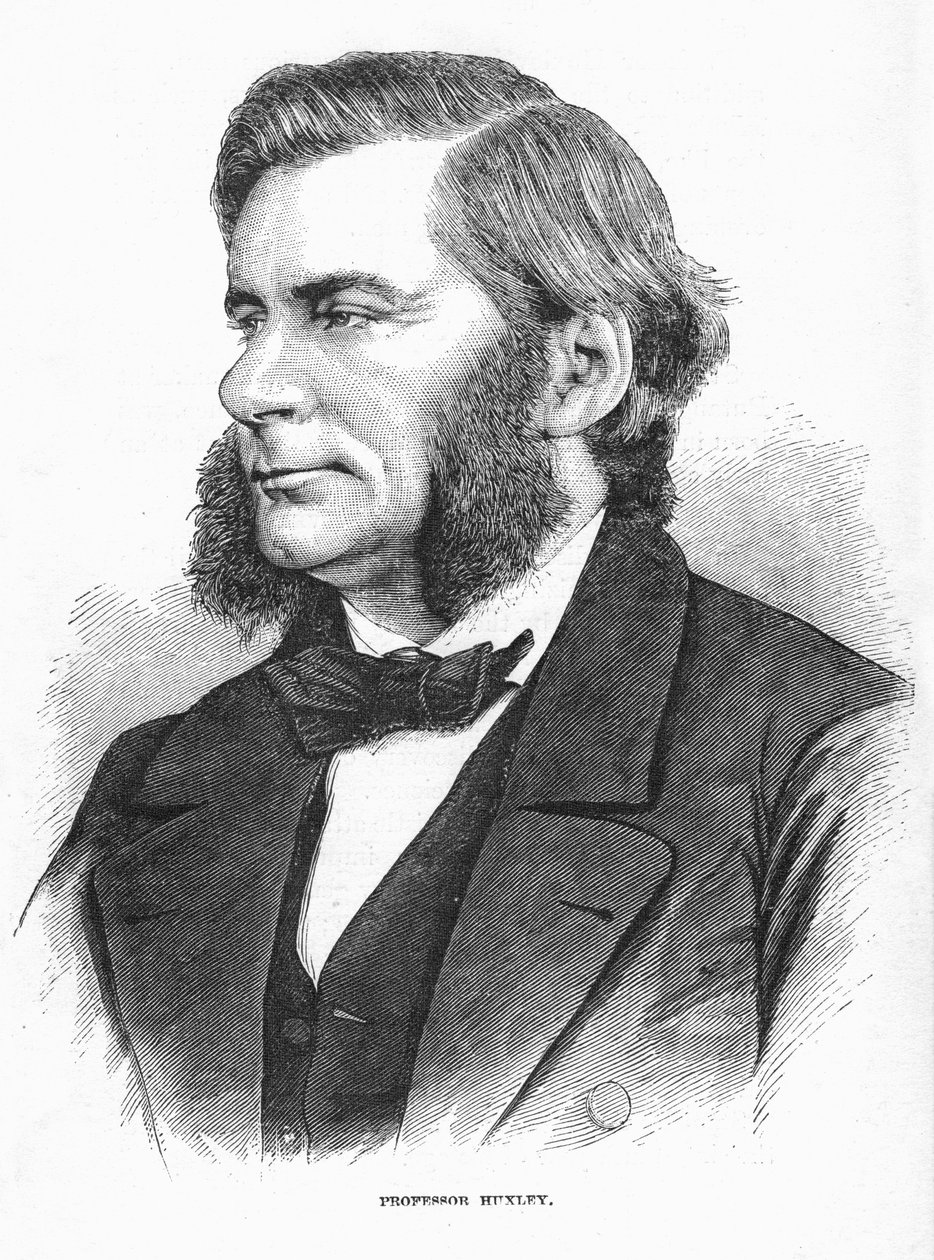 Thomas Henry Huxley, biólogo británico, c1860s de Unbekannt
