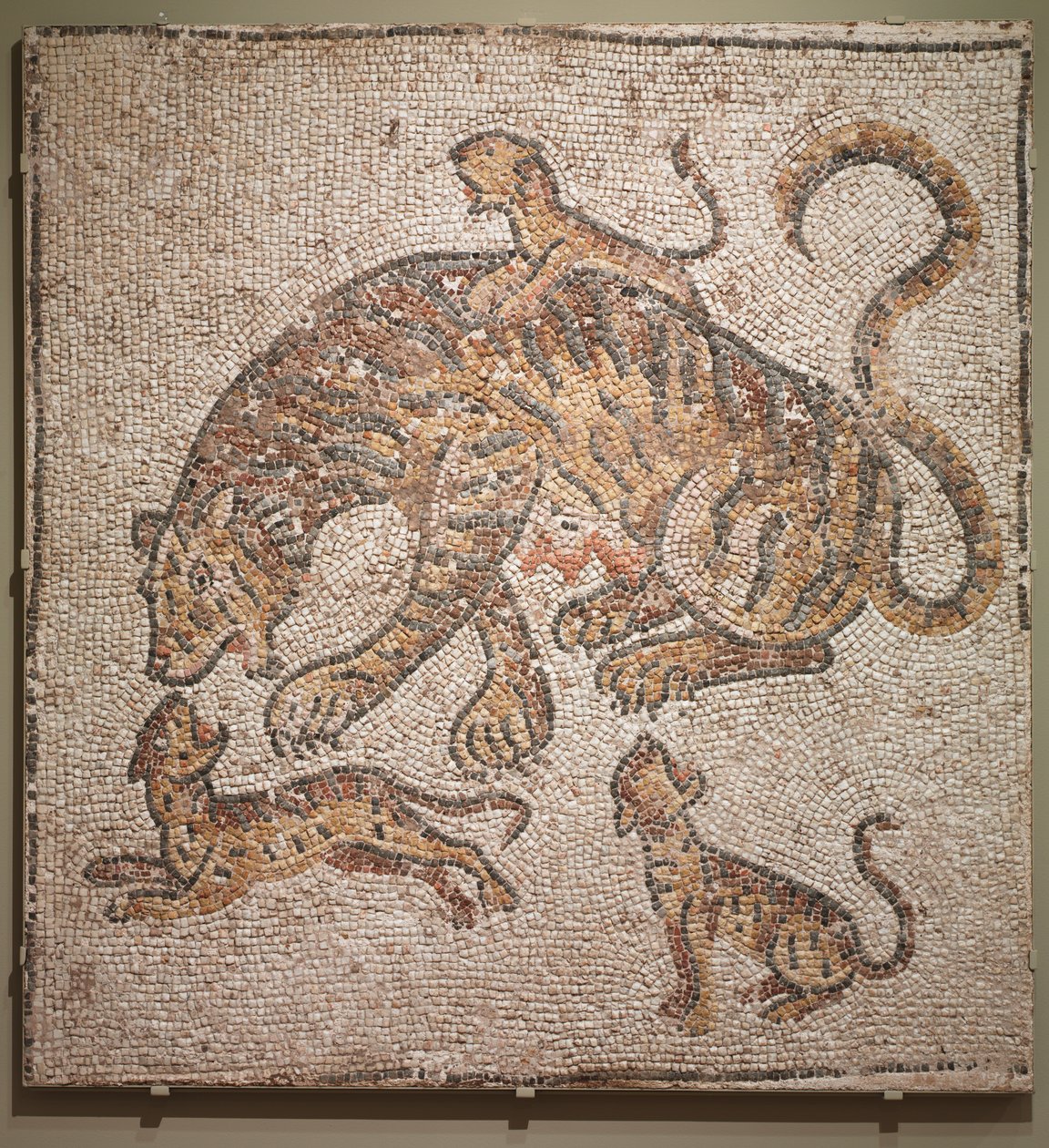 Tigresa y Cachorros, siglo III de Unbekannt