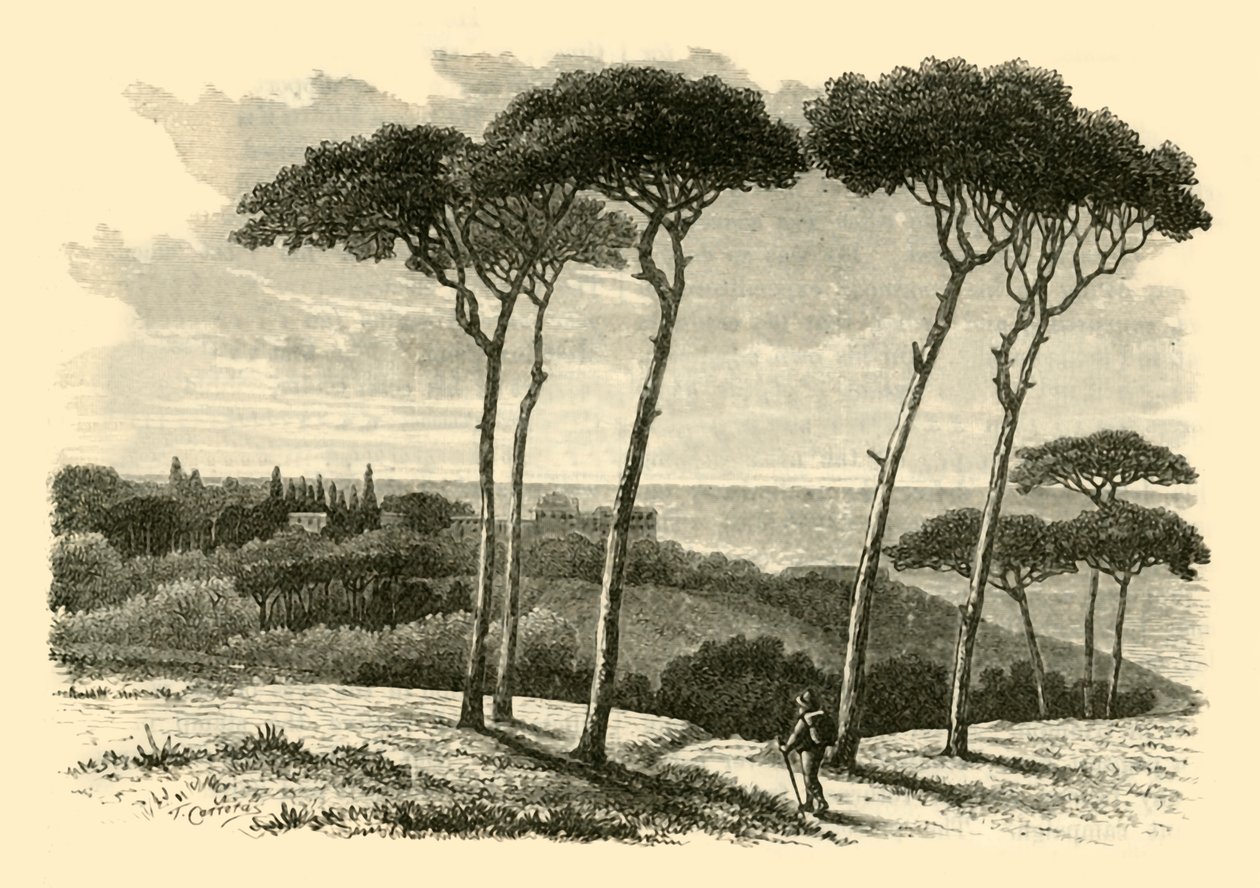 Tusculum de Unbekannt