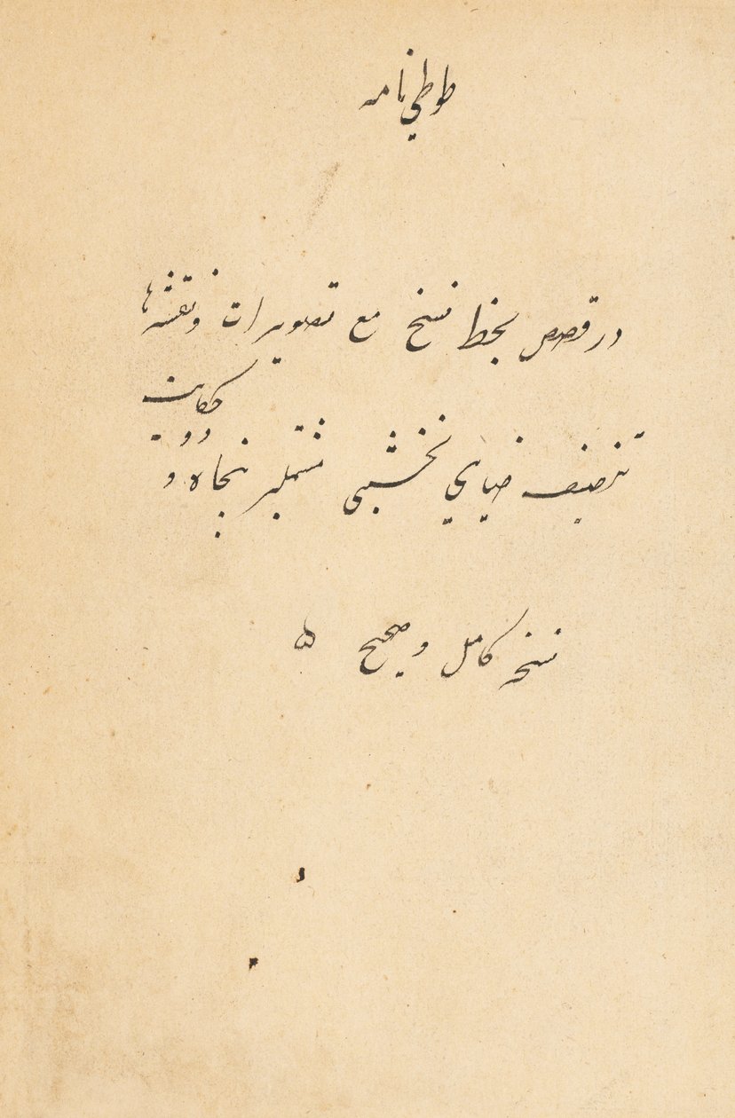 Tuti-Nama Cuentos de un loro, c. 1560 de Unbekannt