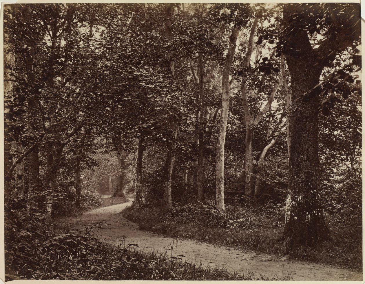 Paisaje Sin Título, principios de 1860 de Unbekannt