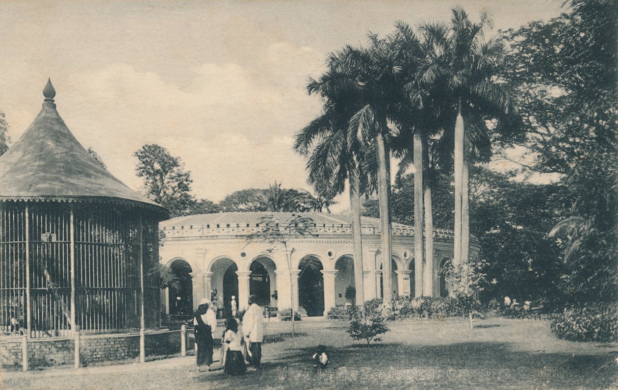 Vista en los Jardines Zoológicos, Calcuta, c1910 de Unbekannt