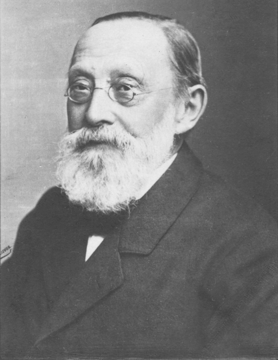 Virchow, c1893 de Unbekannt