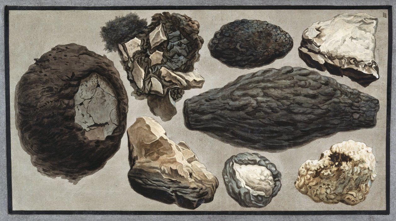 Material volcánico del Monte Vesubio de Unbekannt