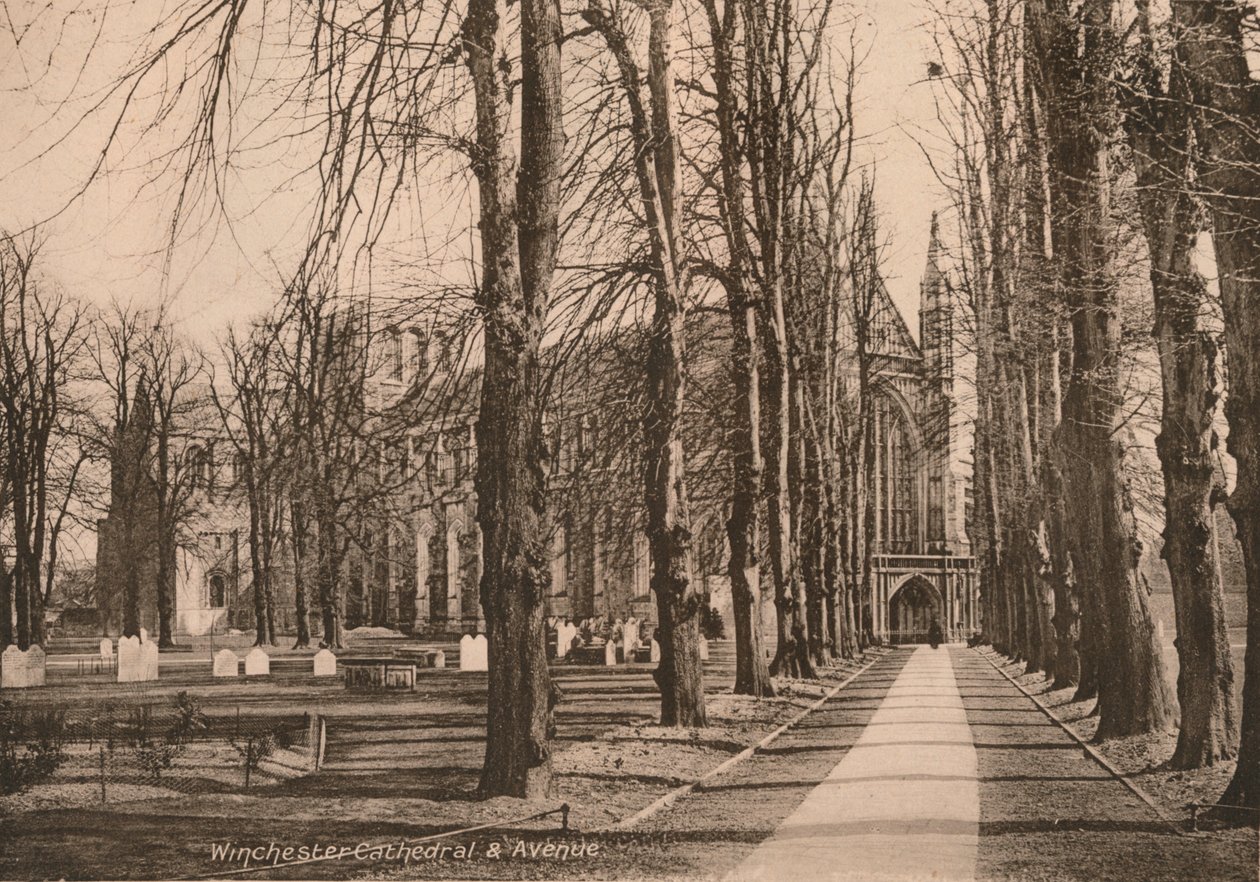 Catedral de Winchester y Avenida, Hampshire, principios del siglo XX de Unbekannt