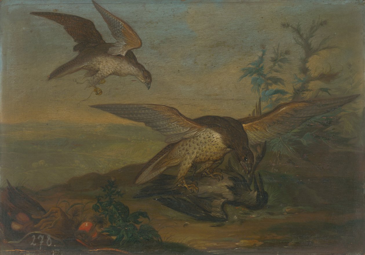 Lucha de pájaros de Unbekannt