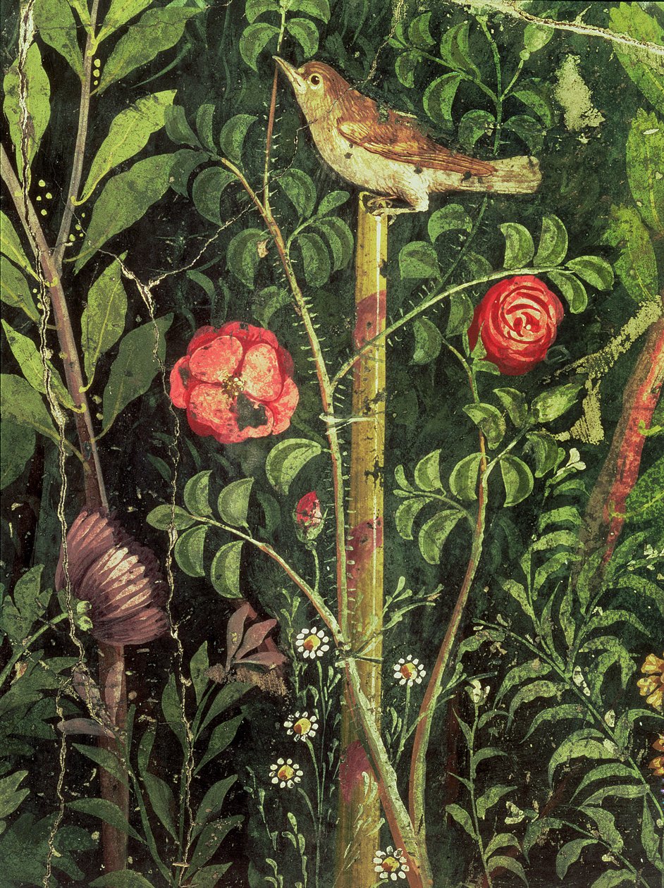 Pintura mural de un pájaro en un jardín, Pompeya, siglo I d.C. de Unbekannt Unbekannt