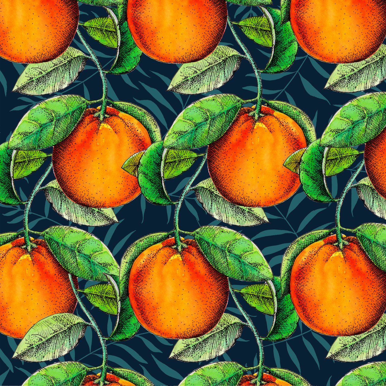 Naranjas andaluzas, 2017 de Unbekannt Unbekannt